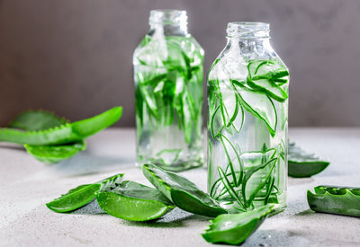 Aloe Vera Nedir? Aloe Vera Faydaları Nelerdir?