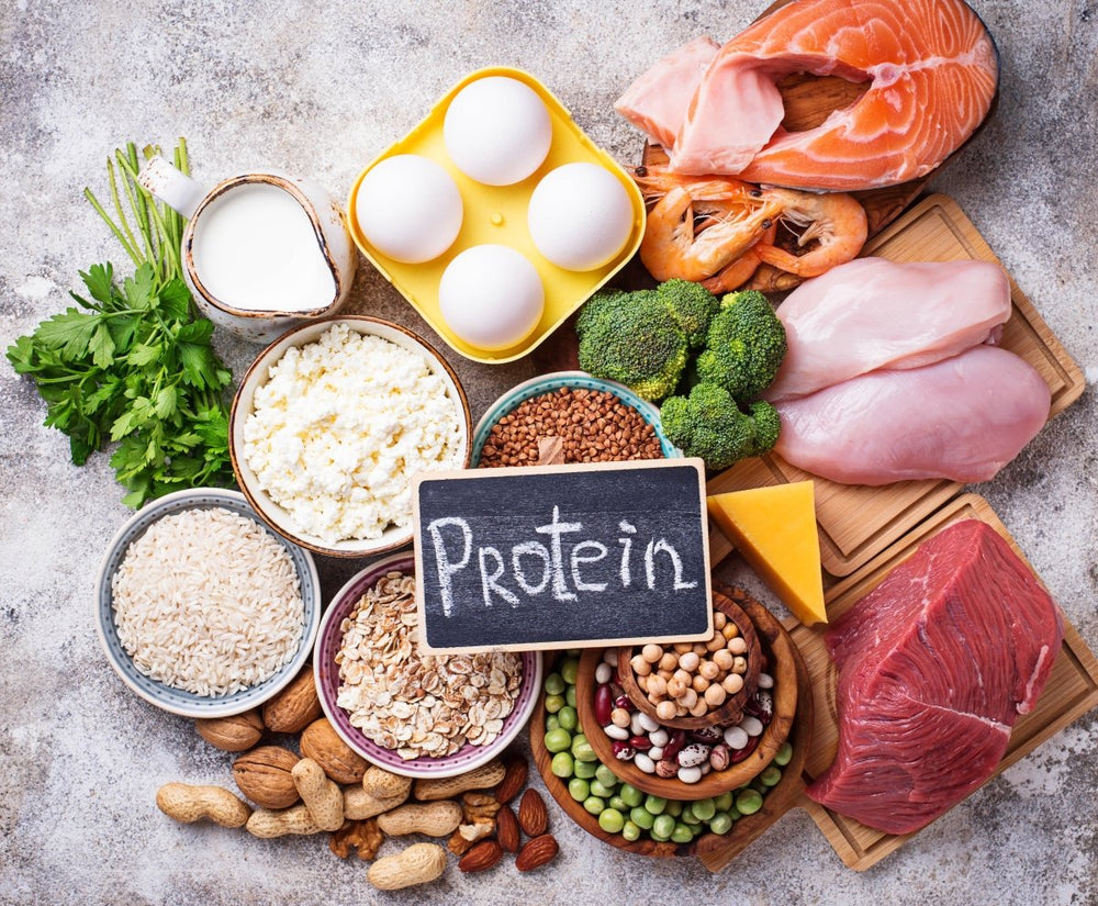 G nl k Ka Gram Protein Al nmal Protein Nedir Form Assist g-nl-k-ka-gram-protein-al-nmal-protein-nedir-form-assist